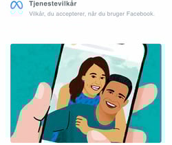 JanT-Metavilkår